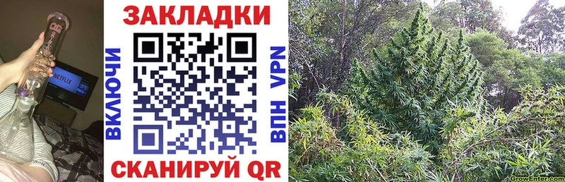  Кокаин Петровск-Забайкальский