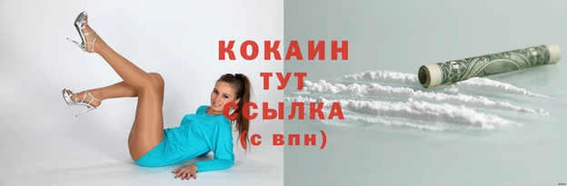 PSILOCYBIN Нефтекумск