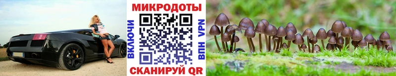 Галлюциногенные грибы мухоморы купить наркоту Петровск-Забайкальский